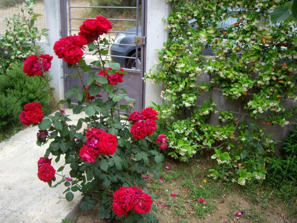 Villa View House Agria Exterior foto